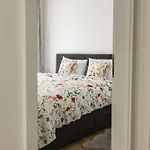 Dream Premium * Mosonmagyaróvár