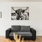 Dream Premium