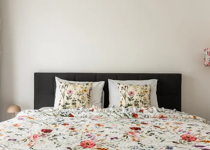 Dream Premium Mosonmagyaróvár
